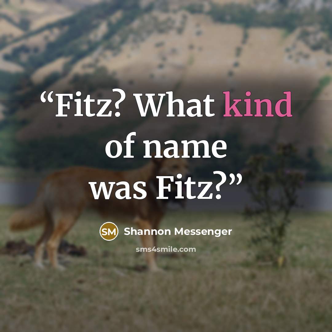 “Fitz? What kind of name was Fitz?” quote by Shannon Messenger