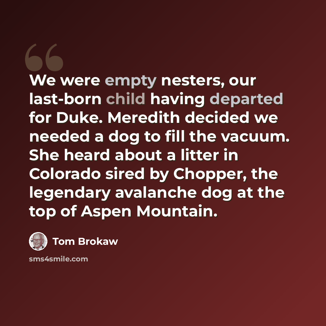 “We were empty nesters, our last-born child having departed for Duke. Meredith decided we needed a dog to fill the vacuum. She heard about a litter in Colorado sired by Chopper, the legendary avalanche dog at the top of Aspen Mountain.” quote by Tom Brokaw