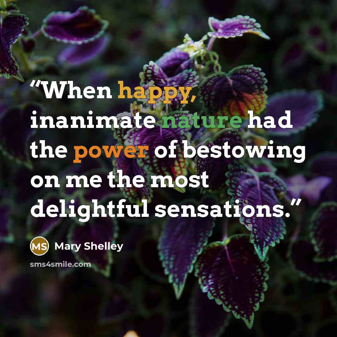 “When happy, inanimate nature had the power of bestowing on me the most delightful sensations.” quote by Mary Shelley