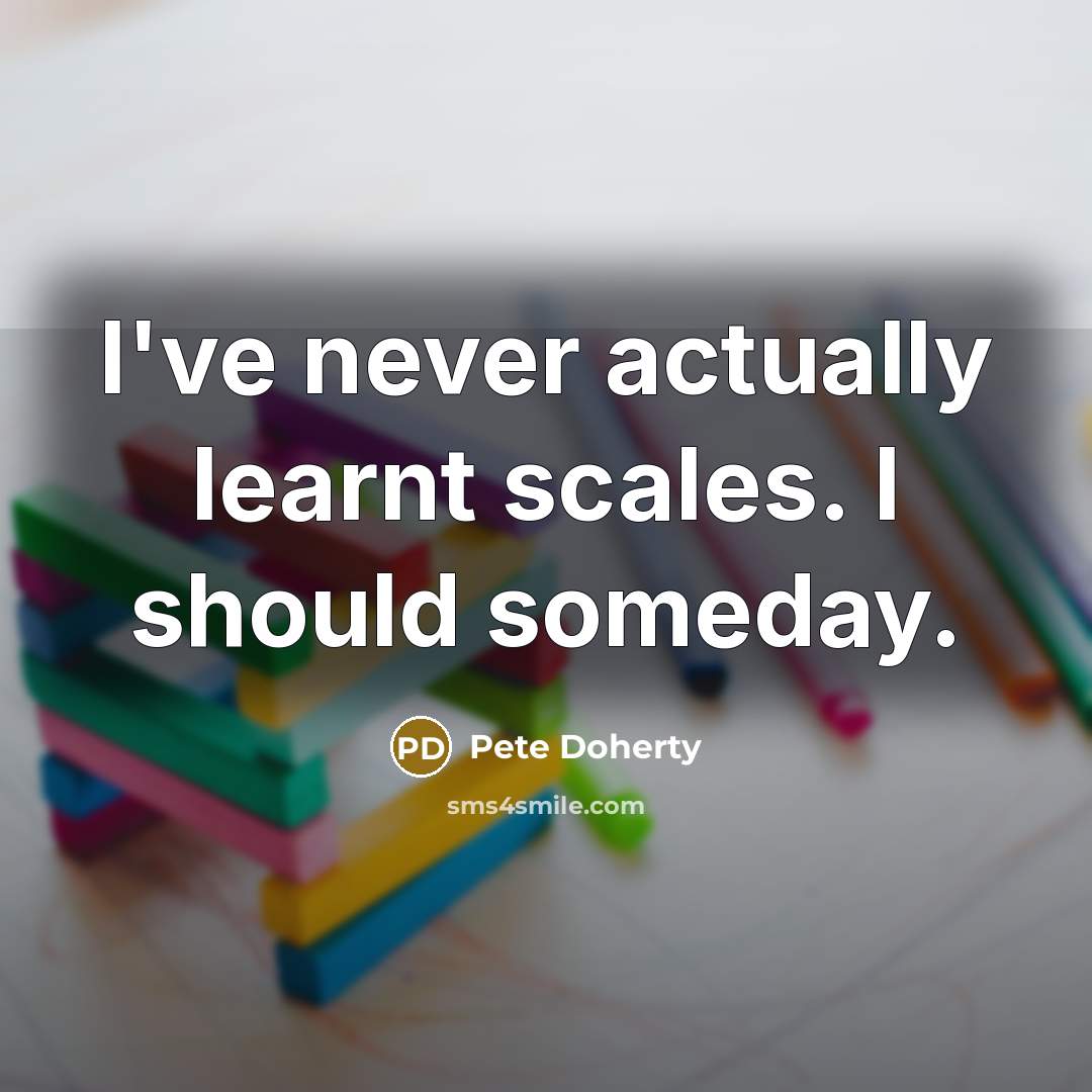 “I've never actually learnt scales. I should someday.” quote by Pete Doherty
