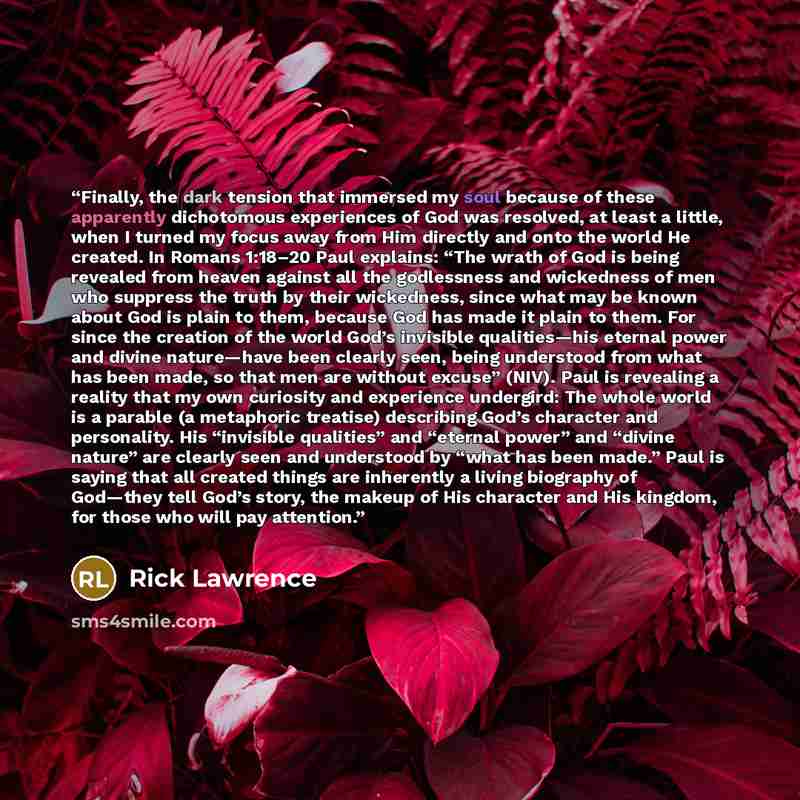 “Finally, the dark tension that immersed my soul because of these apparently dichotomous experiences of God was resolved, at least a little, when I turned my focus away from Him directly and onto the world He created. In Romans 1:18–20 Paul explains: “The wrath of God is being revealed from heaven…” quote by Rick Lawrence
