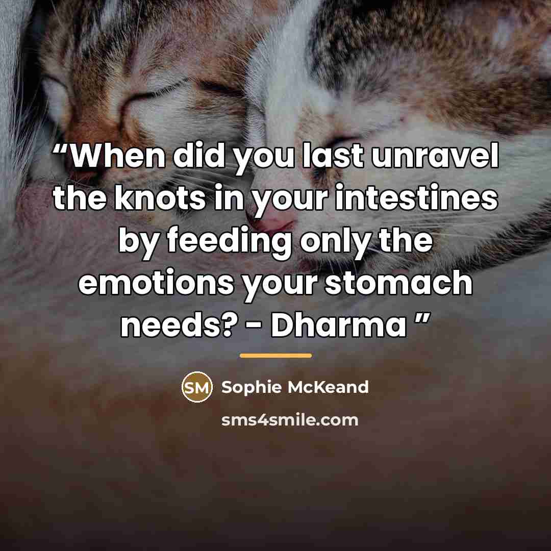 “When did you last unravel the knots in your intestines by feeding only the emotions your stomach needs? - Dharma” quote by Sophie McKeand
