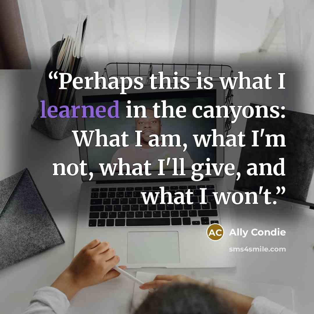 “Perhaps this is what I learned in the canyons: What I am, what I'm not, what I'll give, and what I won't.” quote by Ally Condie