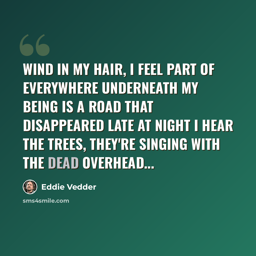 “Wind in my hair, I feel part of everywhere Underneath my being is a road that disappeared Late at night I hear the trees, they're singing with the dead Overhead...” quote by Eddie Vedder