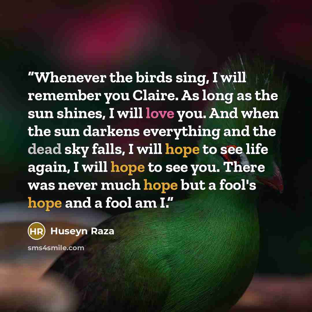 “Whenever the birds sing, I will remember you Claire. As long as the sun shines, I will love you. And when the sun darkens everything and the dead sky falls, I will hope to see life again, I will hope to see you. There was never much hope but a fool's hope and a fool am I.” quote by Huseyn Raza