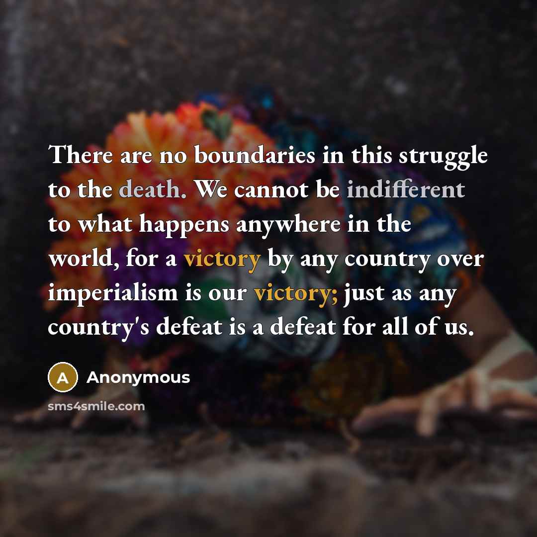 “There are no boundaries in this struggle to the death. We cannot be indifferent to what happens anywhere in the world, for a victory by any country over imperialism is our victory; just as any country's defeat is a defeat for all of us.” quote by Anonymous