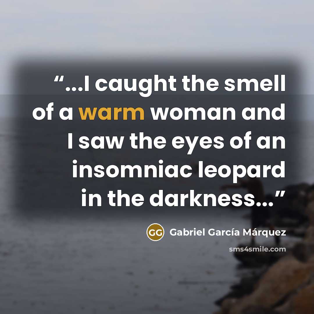 “...I caught the smell of a warm woman and I saw the eyes of an insomniac leopard in the darkness...” quote by Gabriel García Márquez