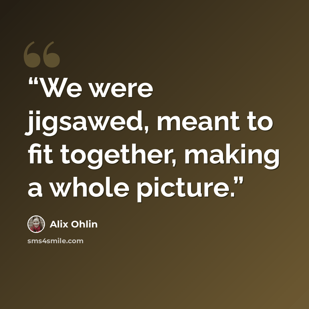 “We were jigsawed, meant to fit together, making a whole picture.” quote by Alix Ohlin