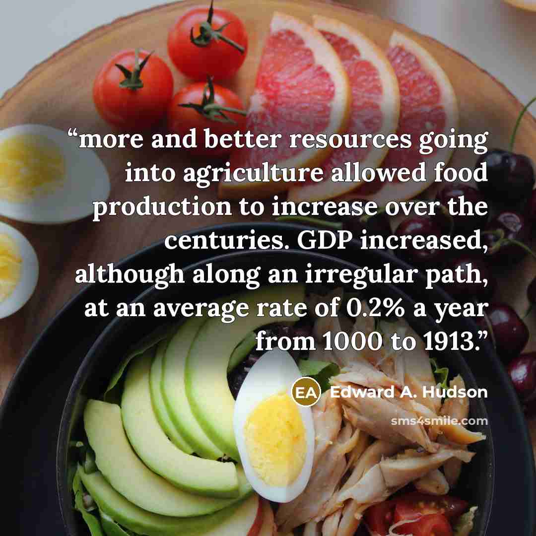 “more and better resources going into agriculture allowed food production to increase over the centuries. GDP increased, although along an irregular path, at an average rate of 0.2% a year from 1000 to 1913.” quote by Edward A. Hudson