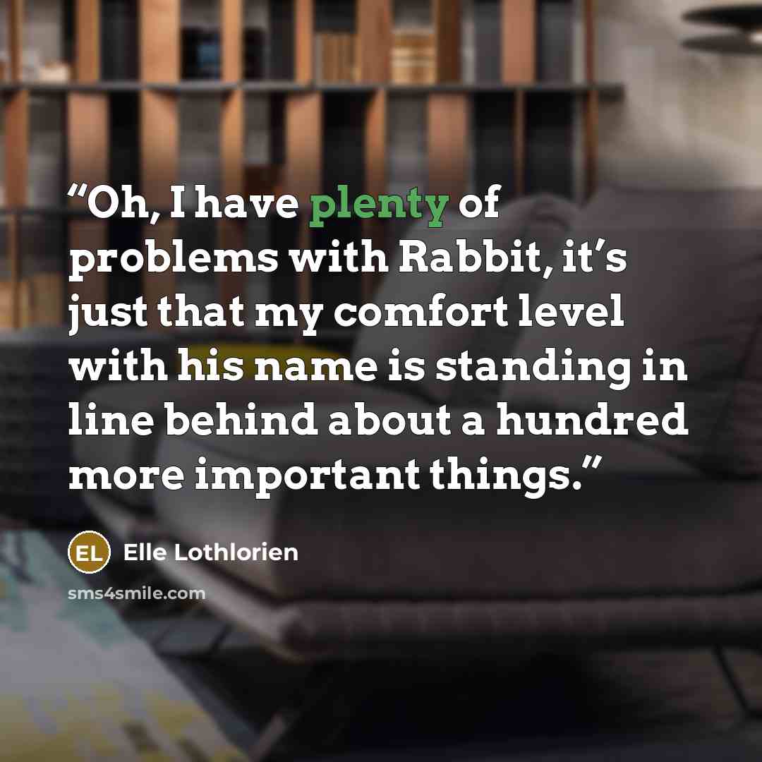 “Oh, I have plenty of problems with Rabbit, it’s just that my comfort level with his name is standing in line behind about a hundred more important things.” quote by Elle Lothlorien