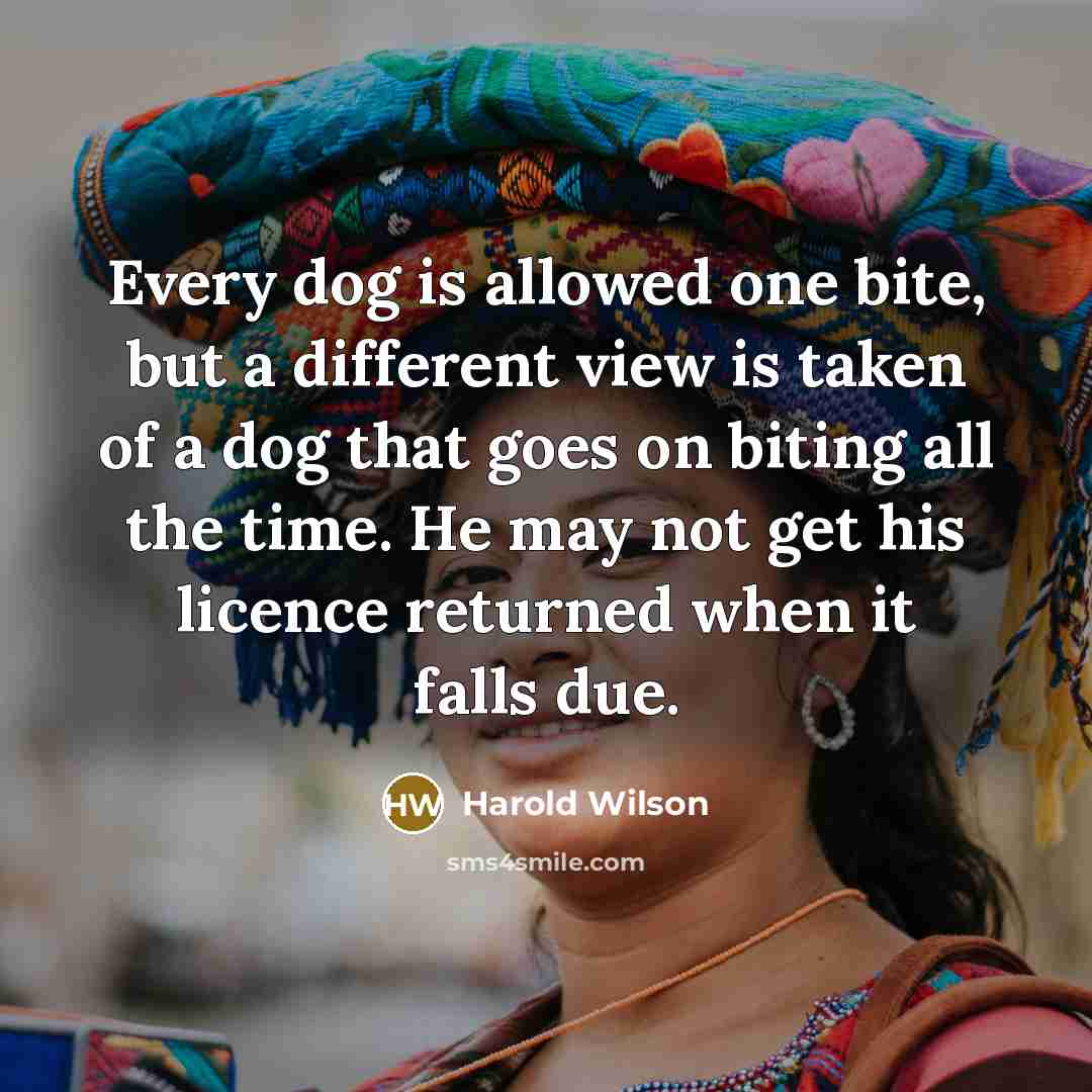 “Every dog is allowed one bite, but a different view is taken of a dog that goes on biting all the time. He may not get his licence returned when it falls due.” quote by Harold Wilson