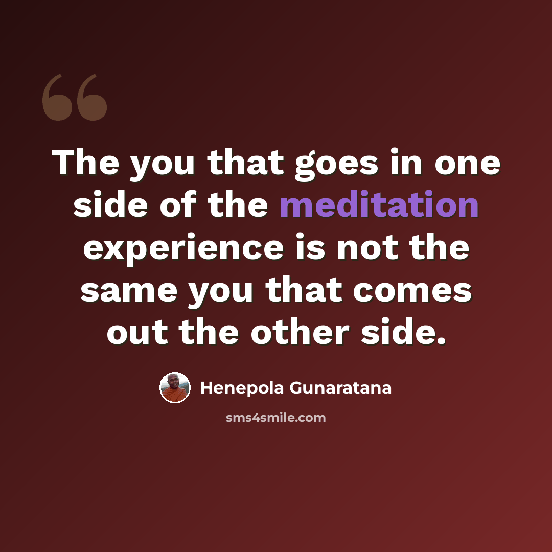 “The you that goes in one side of the meditation experience is not the same you that comes out the other side.” quote by Henepola Gunaratana