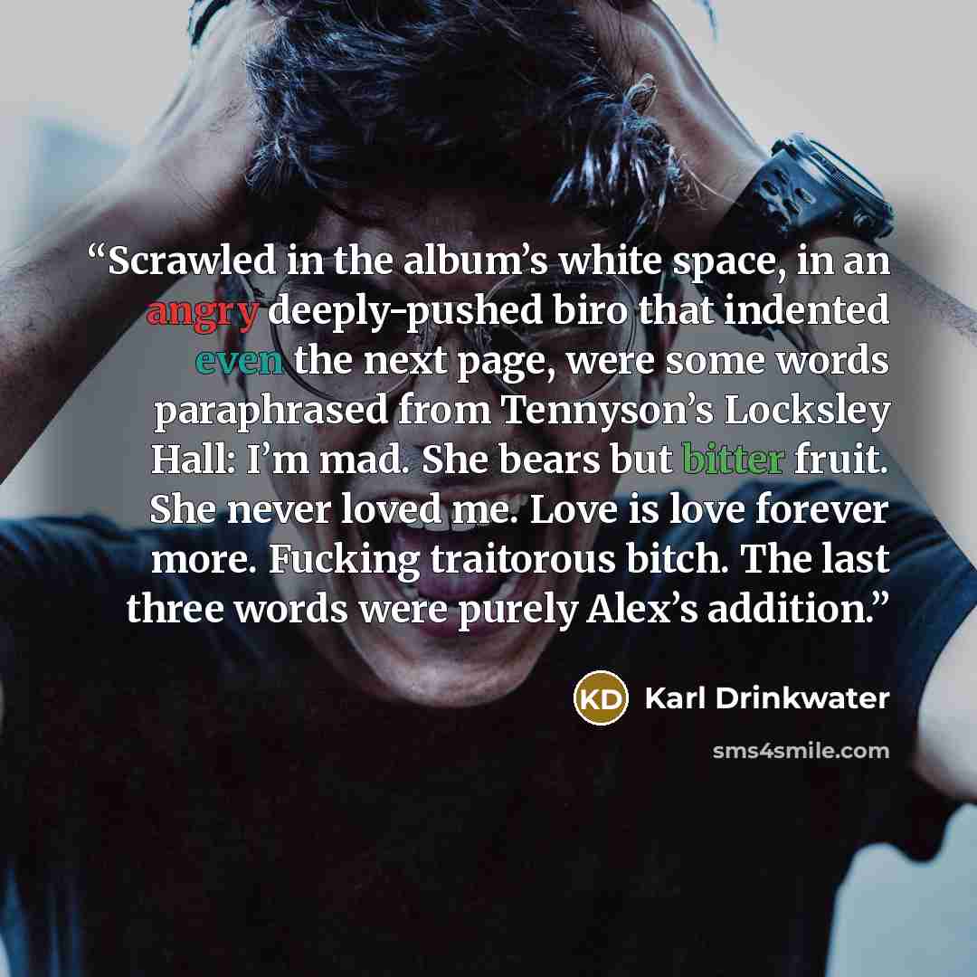 “Scrawled in the album’s white space, in an angry deeply-pushed biro that indented even the next page, were some words paraphrased from Tennyson’s Locksley Hall: I’m mad. She bears but bitter fruit. She never loved me. Love is love forever more. Fucking traitorous bitch. The last three words were…” quote by Karl Drinkwater