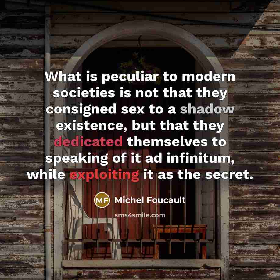 “What is peculiar to modern societies is not that they consigned sex to a shadow existence, but that they dedicated themselves to speaking of it ad infinitum, while exploiting it as the secret.” quote by Michel Foucault