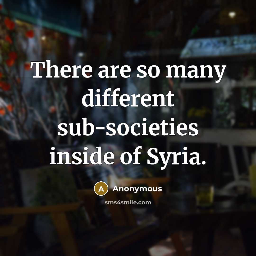 “There are so many different sub-societies inside of Syria.” quote by Anonymous