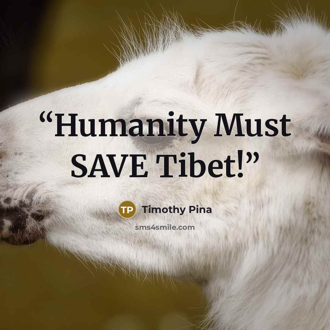 “Humanity Must SAVE Tibet!” quote by Timothy Pina