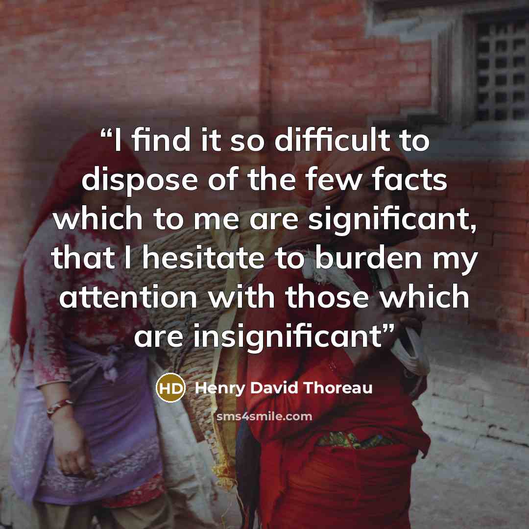“I find it so difficult to dispose of the few facts which to me are significant, that I hesitate to burden my attention with those which are insignificant” quote by Henry David Thoreau