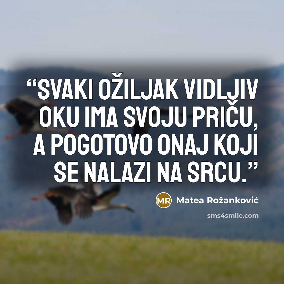 “Svaki ožiljak vidljiv oku ima svoju priču, a pogotovo onaj koji se nalazi na srcu.” quote by Matea Rožanković