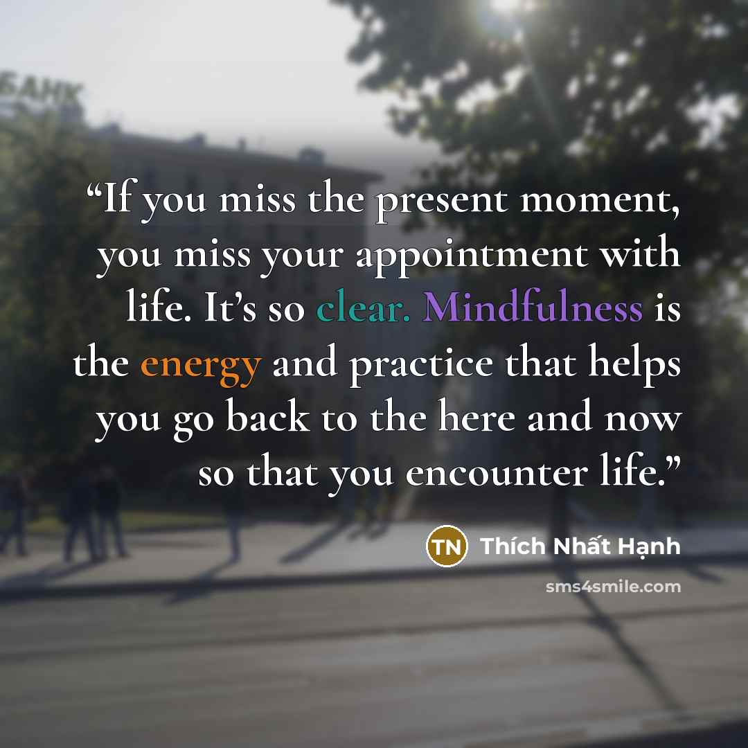 “If you miss the present moment, you miss your appointment with life. It’s so clear. Mindfulness is the energy and practice that helps you go back to the here and now so that you encounter life.” quote by Thich Nhat Hanh