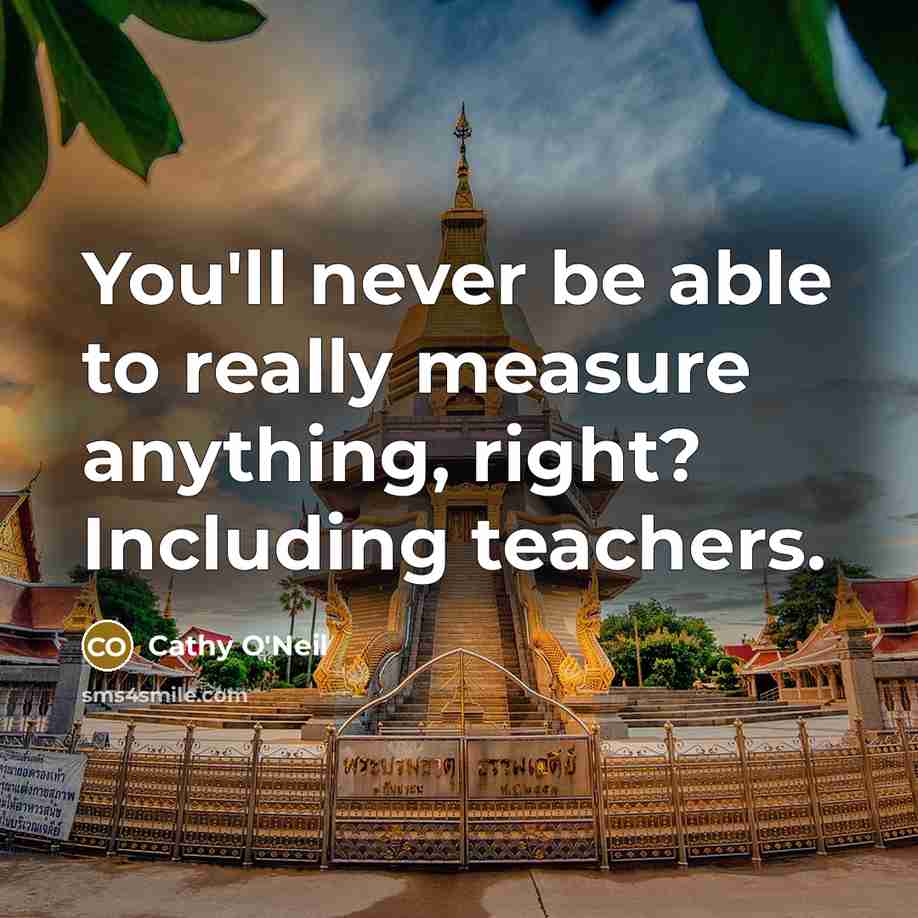 “You'll never be able to really measure anything, right? Including teachers.” quote by Cathy O'Neil