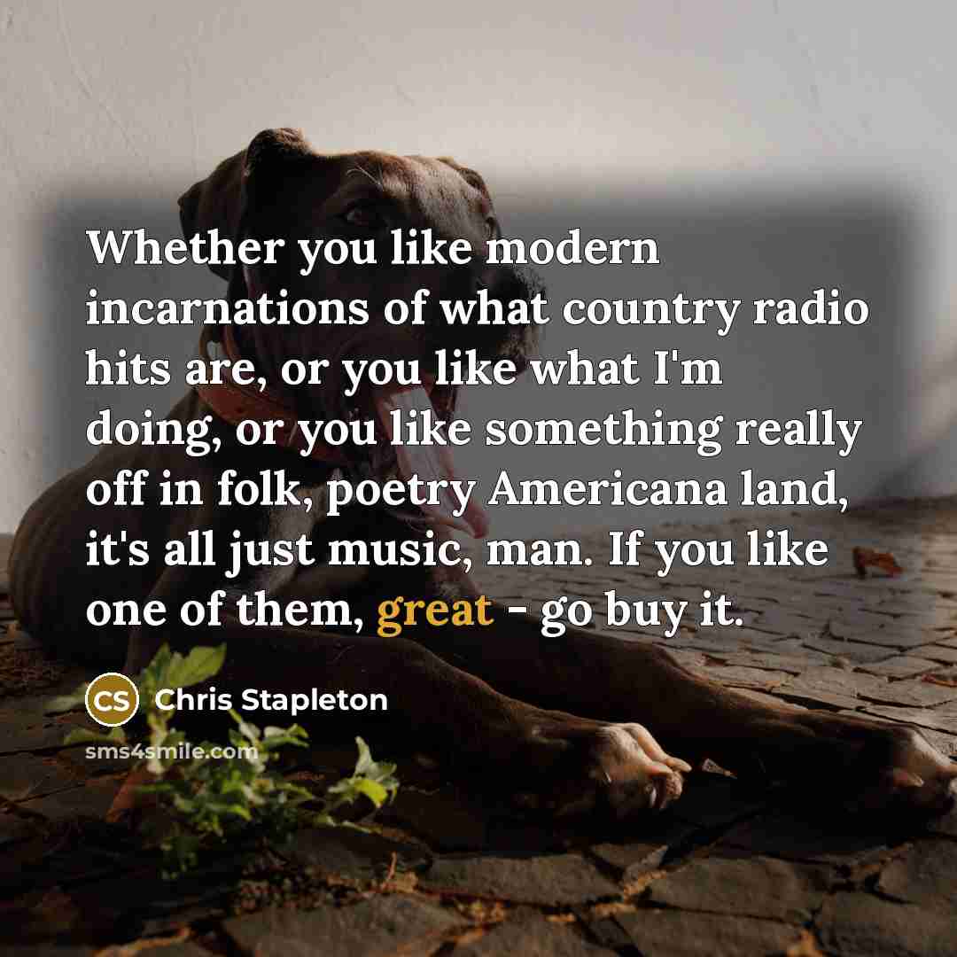 “Whether you like modern incarnations of what country radio hits are, or you like what I'm doing, or you like something really off in folk, poetry Americana land, it's all just music, man. If you like one of them, great - go buy it.” quote by Chris Stapleton