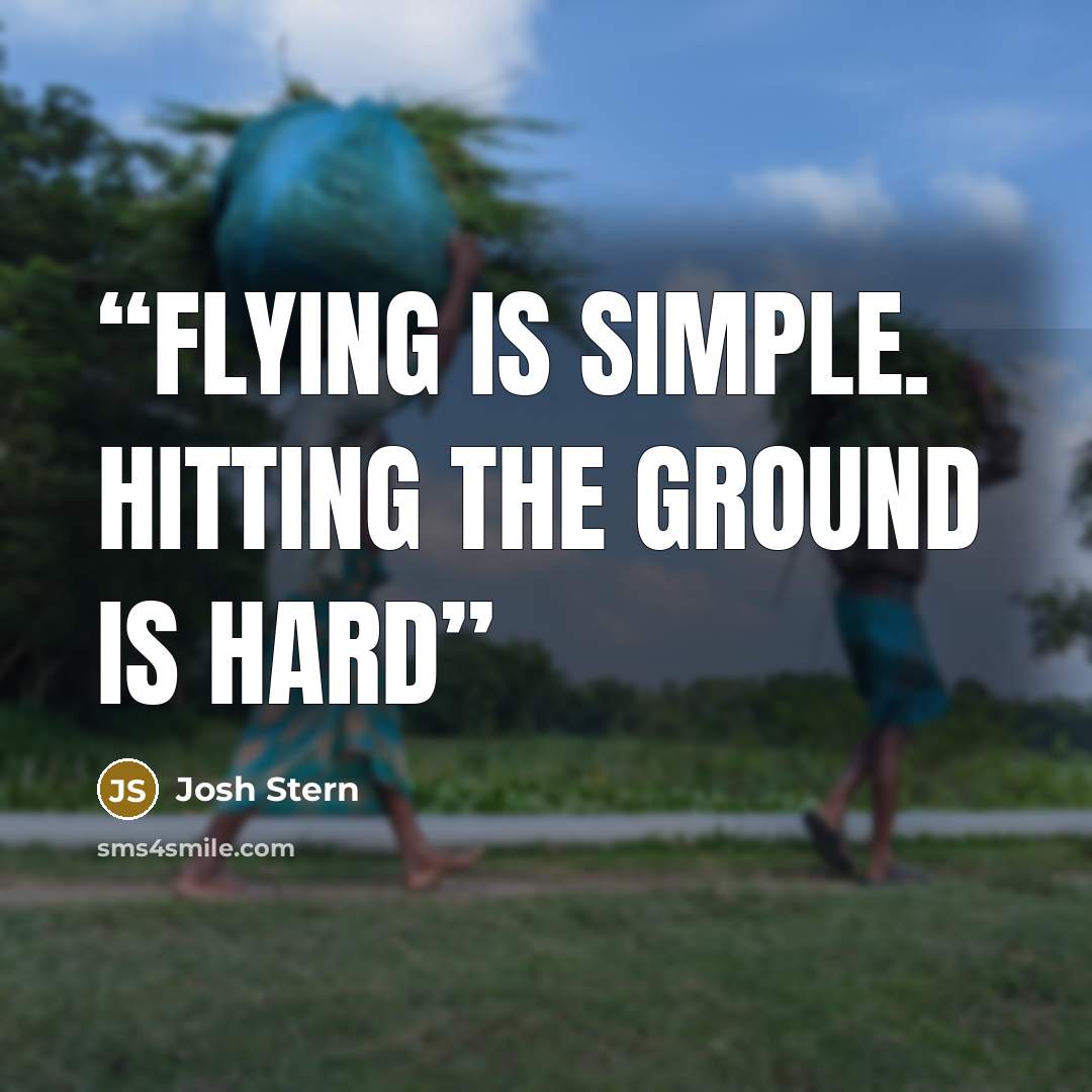 “Flying is simple. Hitting the ground is hard” quote by Josh Stern