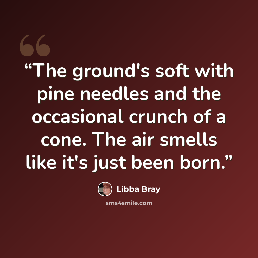“The ground's soft with pine needles and the occasional crunch of a cone. The air smells like it's just been born.” quote by Libba Bray
