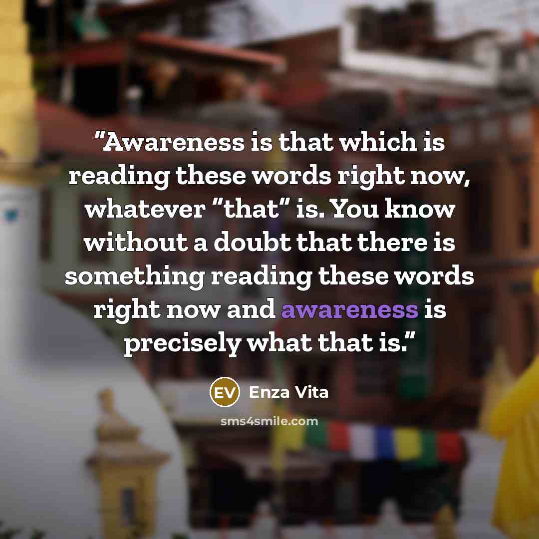 “Awareness is that which is reading these words right now, whatever “that” is. You know without a doubt that there is something reading these words right now and awareness is precisely what that is.” quote by Enza Vita