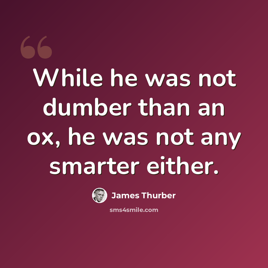“While he was not dumber than an ox, he was not any smarter either.” quote by James Thurber