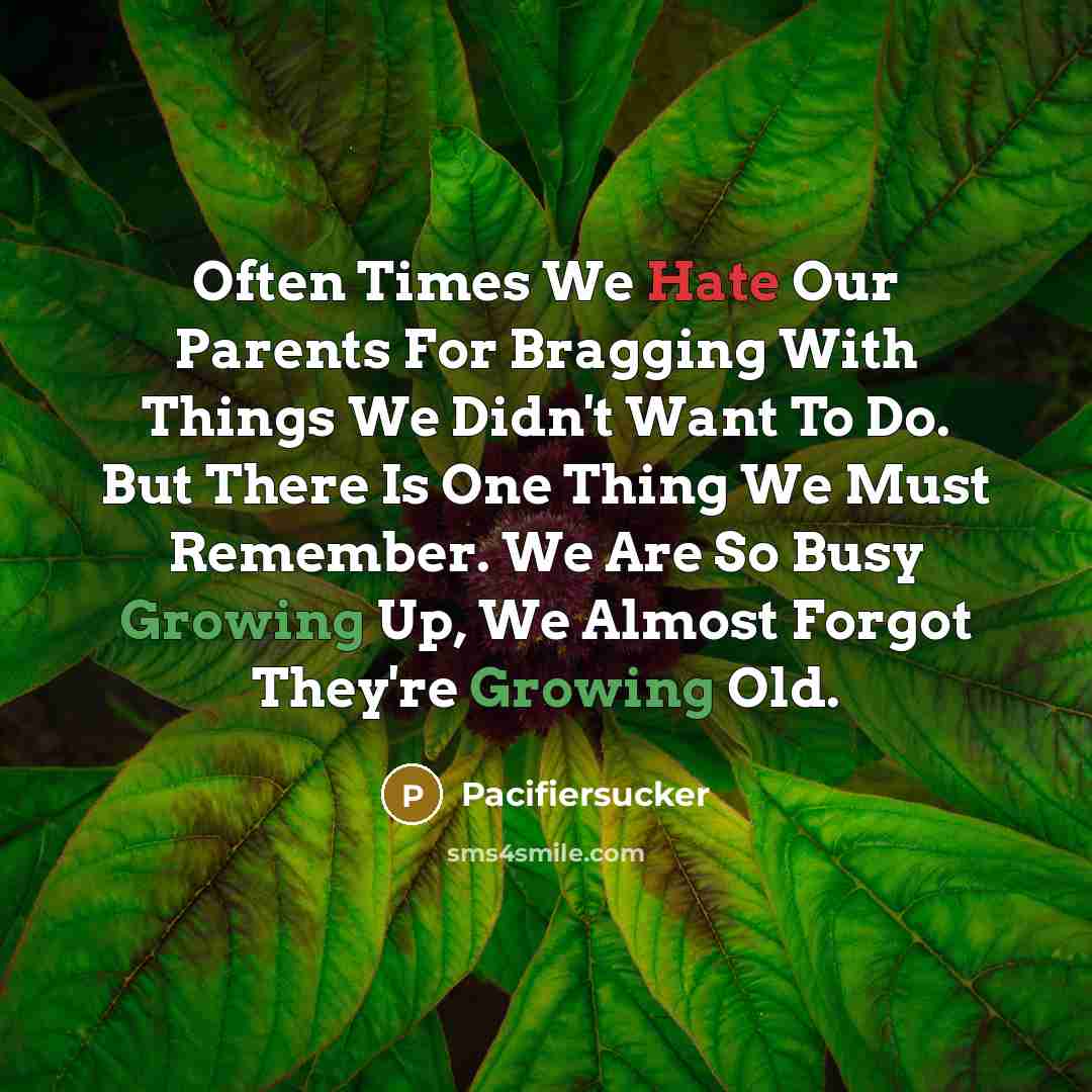 “Often Times We Hate Our Parents For Bragging With Things We Didn't Want To Do. But There Is One Thing We Must Remember. We Are So Busy Growing Up, We Almost Forgot They're Growing Old.” quote by Pacifiersucker