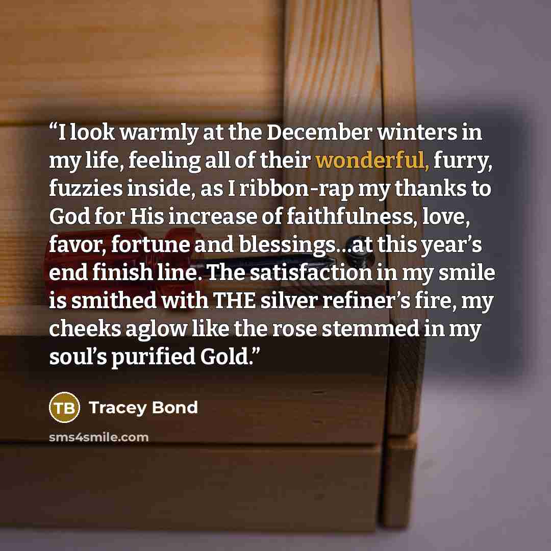 “I look warmly at the December winters in my life, feeling all of their wonderful, furry, fuzzies inside, as I ribbon-rap my thanks to God for His increase of faithfulness, love, favor, fortune and blessings…at this year’s end finish line. The satisfaction in my smile is smithed with THE silver…” quote by Tracey Bond