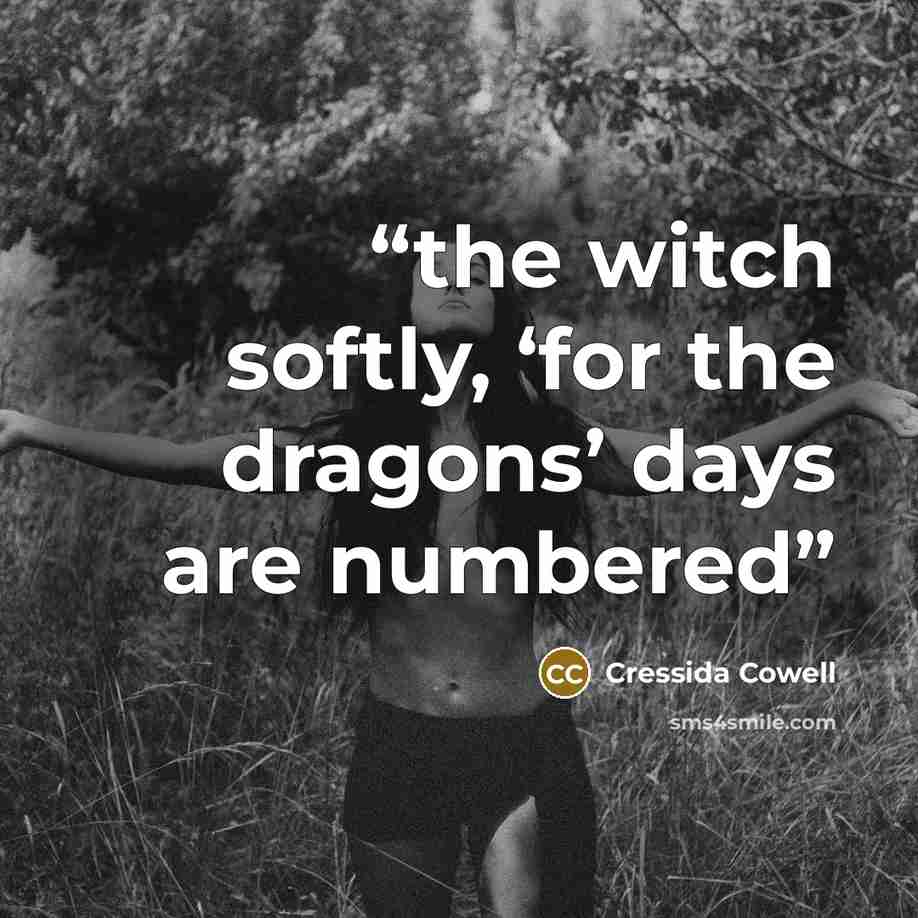 “the witch softly, ‘for the dragons’ days are numbered” quote by Cressida Cowell