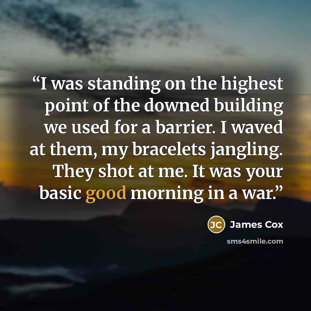 “I was standing on the highest point of the downed building we used for a barrier. I waved at them, my bracelets jangling. They shot at me. It was your basic good morning in a war.” quote by James Cox