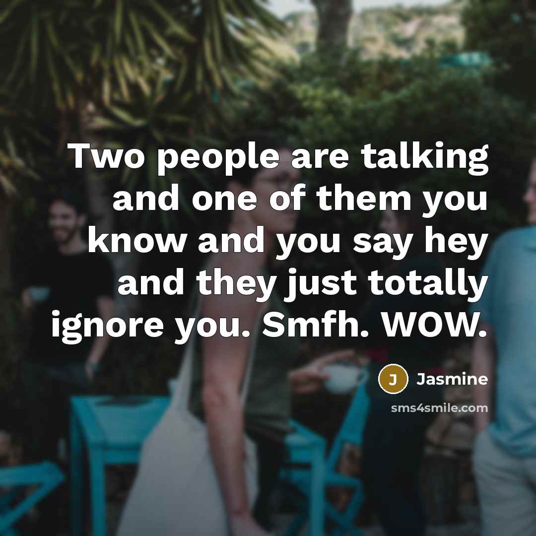 “Two people are talking and one of them you know and you say hey and they just totally ignore you. Smfh. WOW.” quote by Jasmine