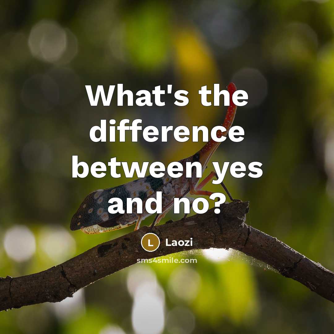 “What's the difference between yes and no?” quote by Laozi