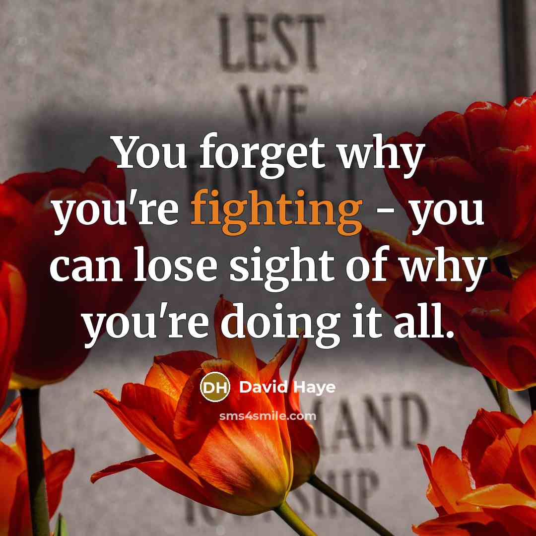 “You forget why you're fighting - you can lose sight of why you're doing it all.” quote by David Haye