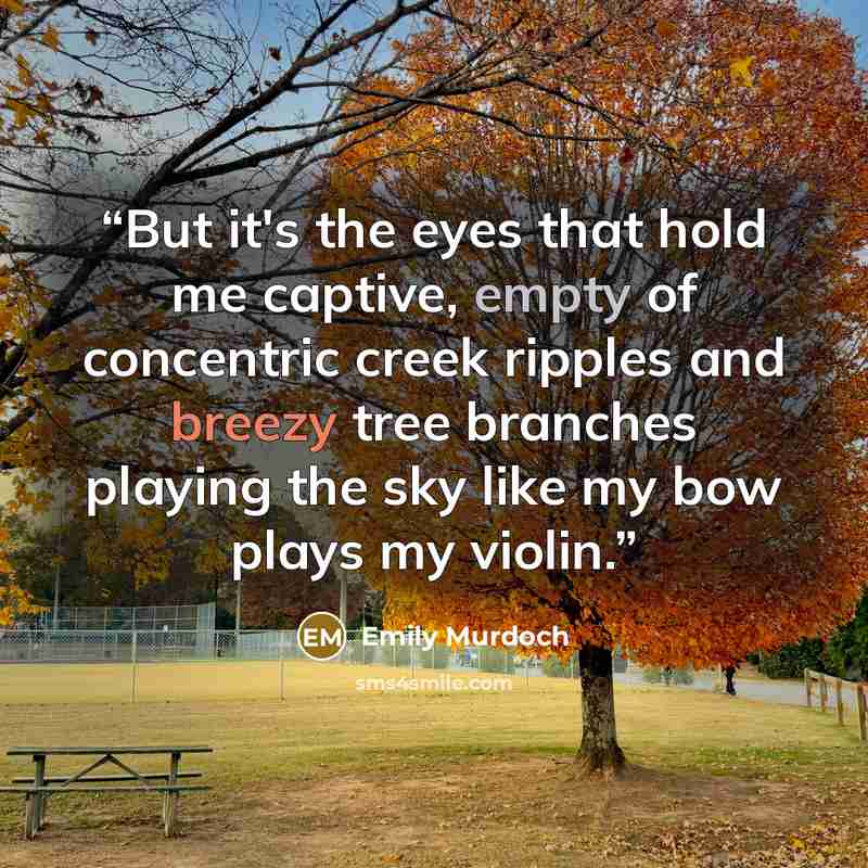 “But it's the eyes that hold me captive, empty of concentric creek ripples and breezy tree branches playing the sky like my bow plays my violin.” quote by Emily Murdoch