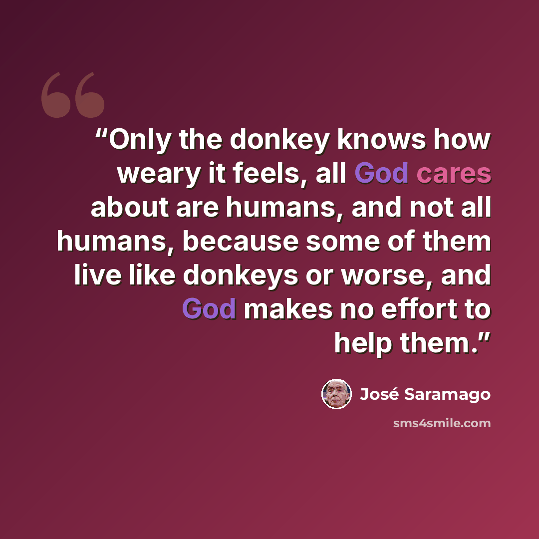 “Only the donkey knows how weary it feels, all God cares about are humans, and not all humans, because some of them live like donkeys or worse, and God makes no effort to help them.” quote by José Saramago