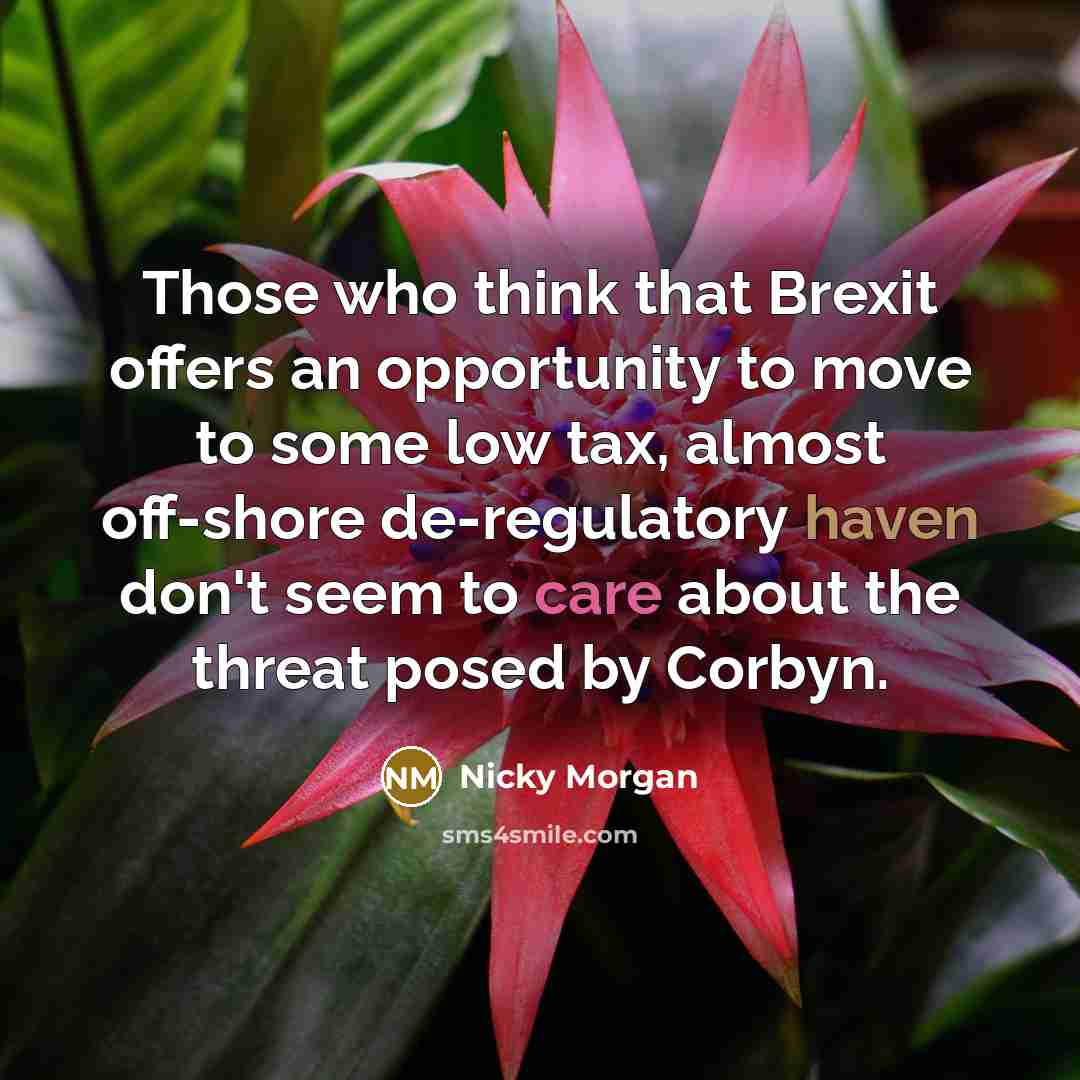 “Those who think that Brexit offers an opportunity to move to some low tax, almost off-shore de-regulatory haven don't seem to care about the threat posed by Corbyn.” quote by Nicky Morgan