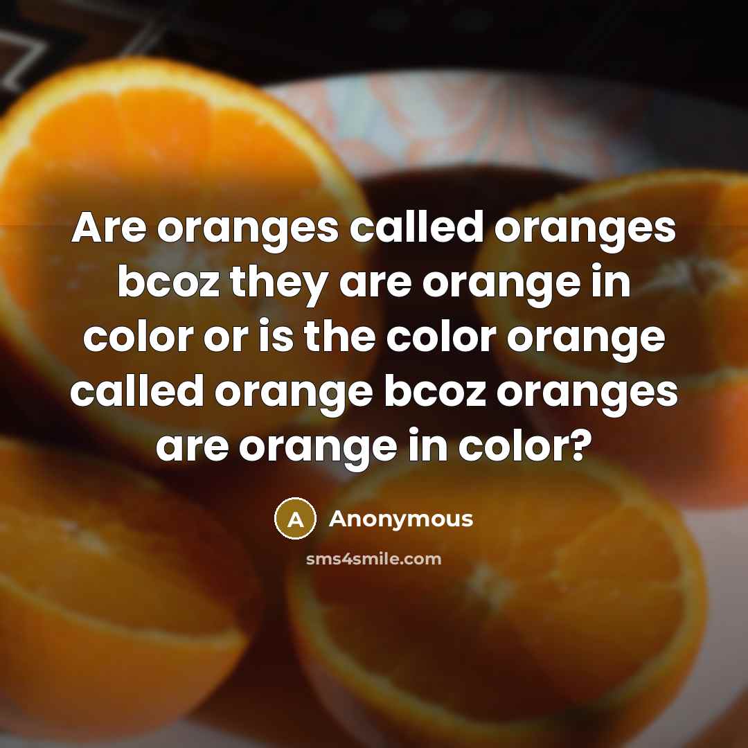 “Are oranges called oranges bcoz they are orange in color or is the color orange called orange bcoz oranges are orange in color?” quote by Anonymous