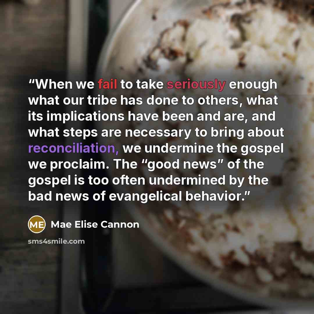 “When we fail to take seriously enough what our tribe has done to others, what its implications have been and are, and what steps are necessary to bring about reconciliation, we undermine the gospel we proclaim. The “good news” of the gospel is too often undermined by the bad news of evangelical…” quote by Mae Elise Cannon