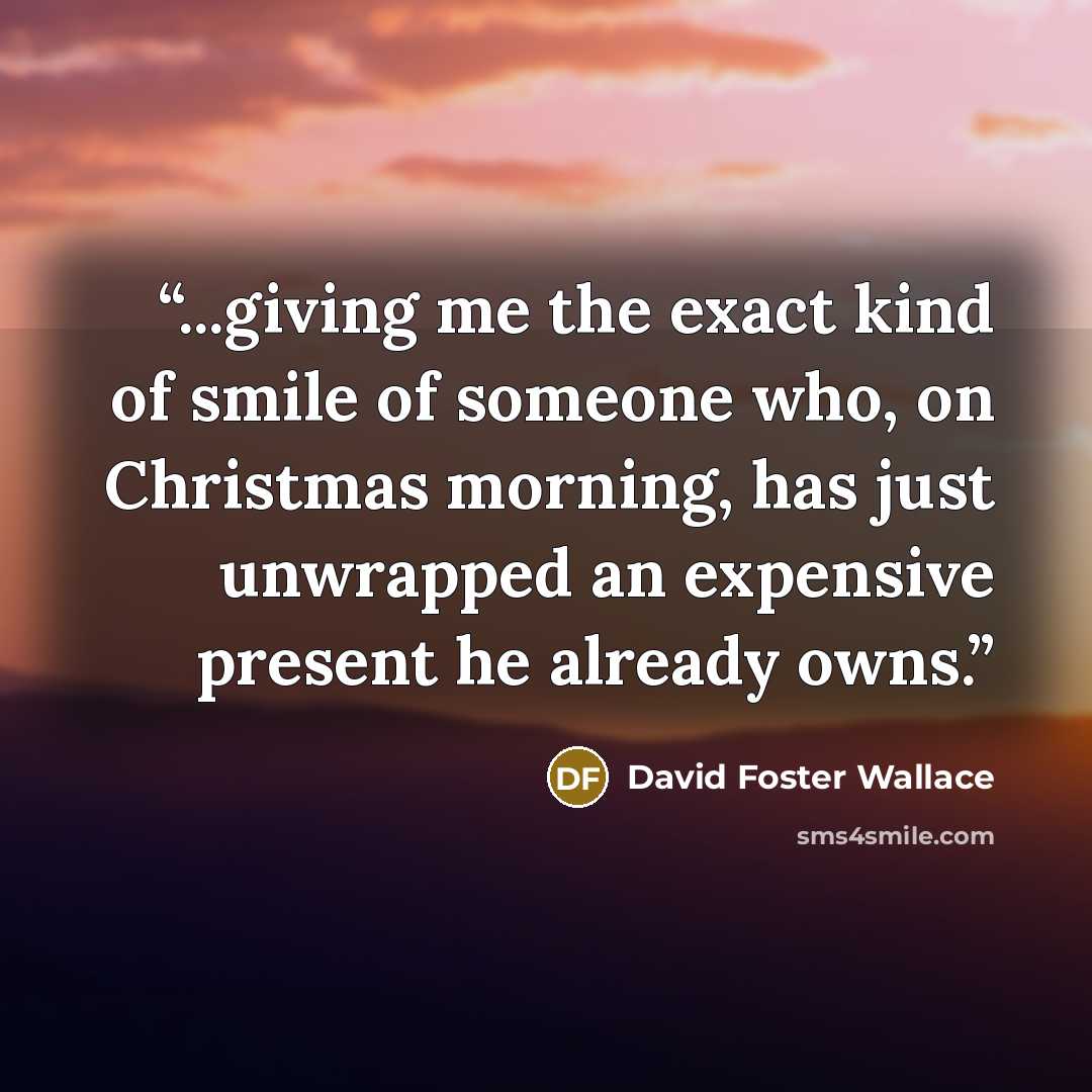 “...giving me the exact kind of smile of someone who, on Christmas morning, has just unwrapped an expensive present he already owns.” quote by David Foster Wallace