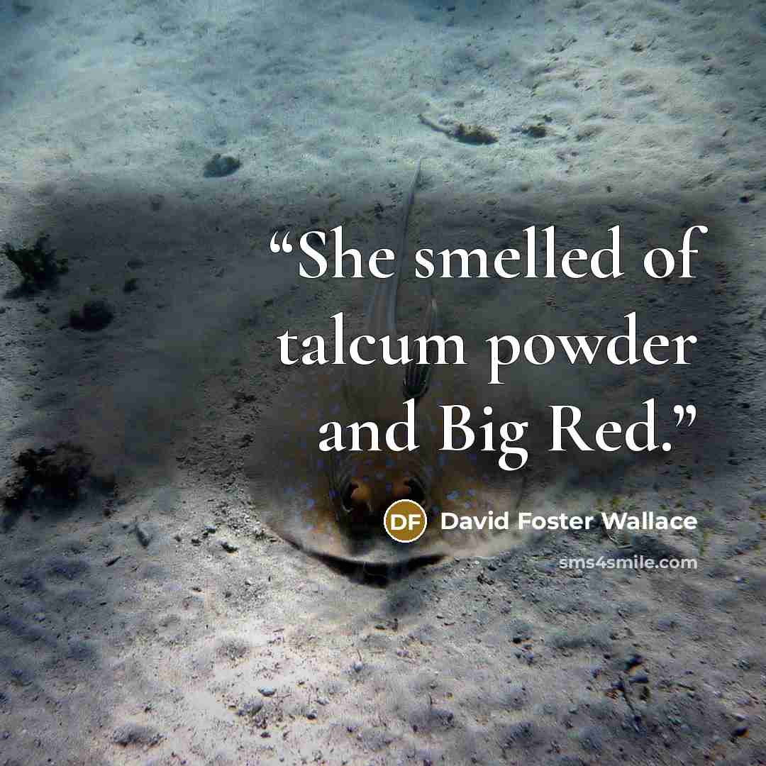 “She smelled of talcum powder and Big Red.” quote by David Foster Wallace
