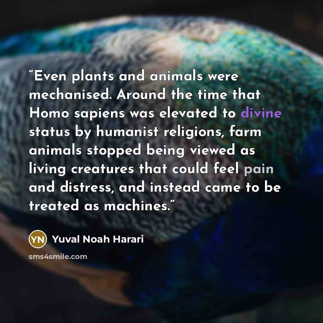 “Even plants and animals were mechanised. Around the time that Homo sapiens was elevated to divine status by humanist religions, farm animals stopped being viewed as living creatures that could feel pain and distress, and instead came to be treated as machines.” quote by Yuval Noah Harari