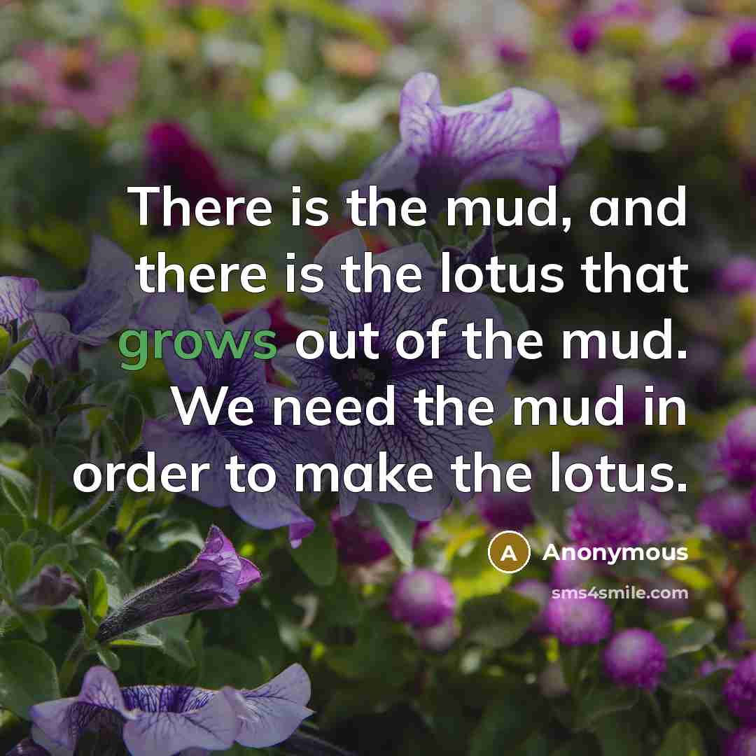 “There is the mud, and there is the lotus that grows out of the mud. We need the mud in order to make the lotus.” quote by Anonymous