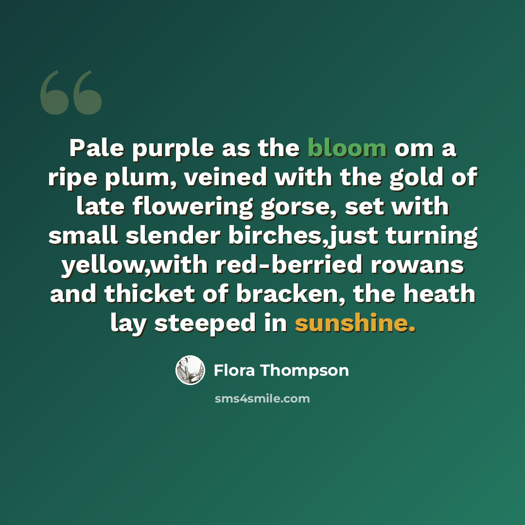 “Pale purple as the bloom om a ripe plum, veined with the gold of late flowering gorse, set with small slender birches,just turning yellow,with red-berried rowans and thicket of bracken, the heath lay steeped in sunshine.” quote by Flora Thompson
