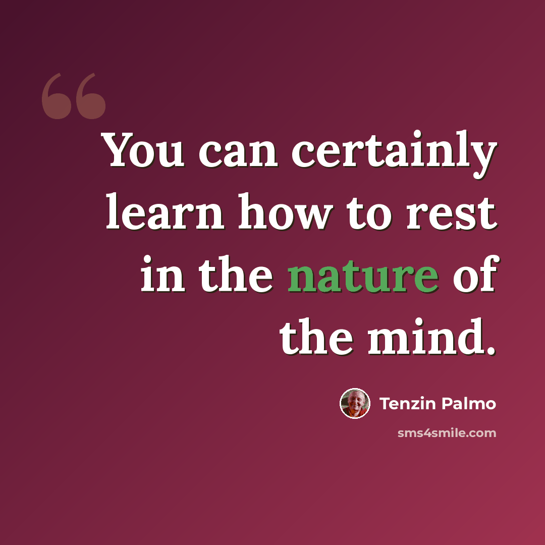 “You can certainly learn how to rest in the nature of the mind.” quote by Tenzin Palmo