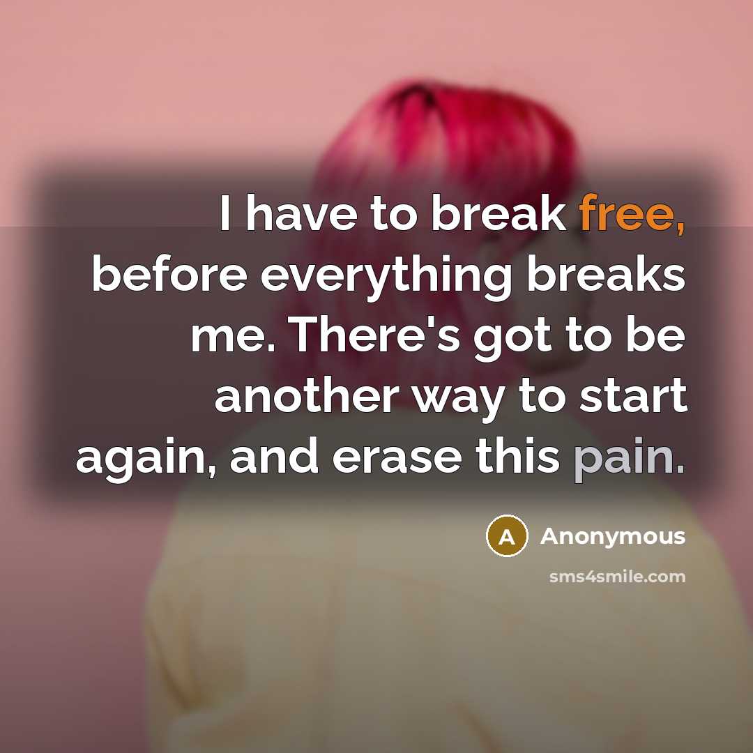 “I have to break free, before everything breaks me. There's got to be another way to start again, and erase this pain.” quote by Anonymous