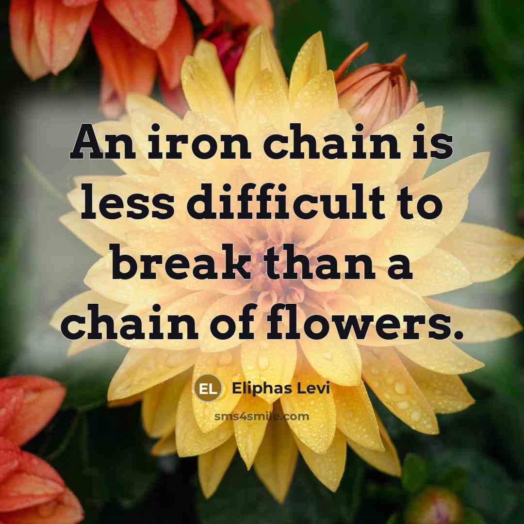 “An iron chain is less difficult to break than a chain of flowers.” quote by Eliphas Levi