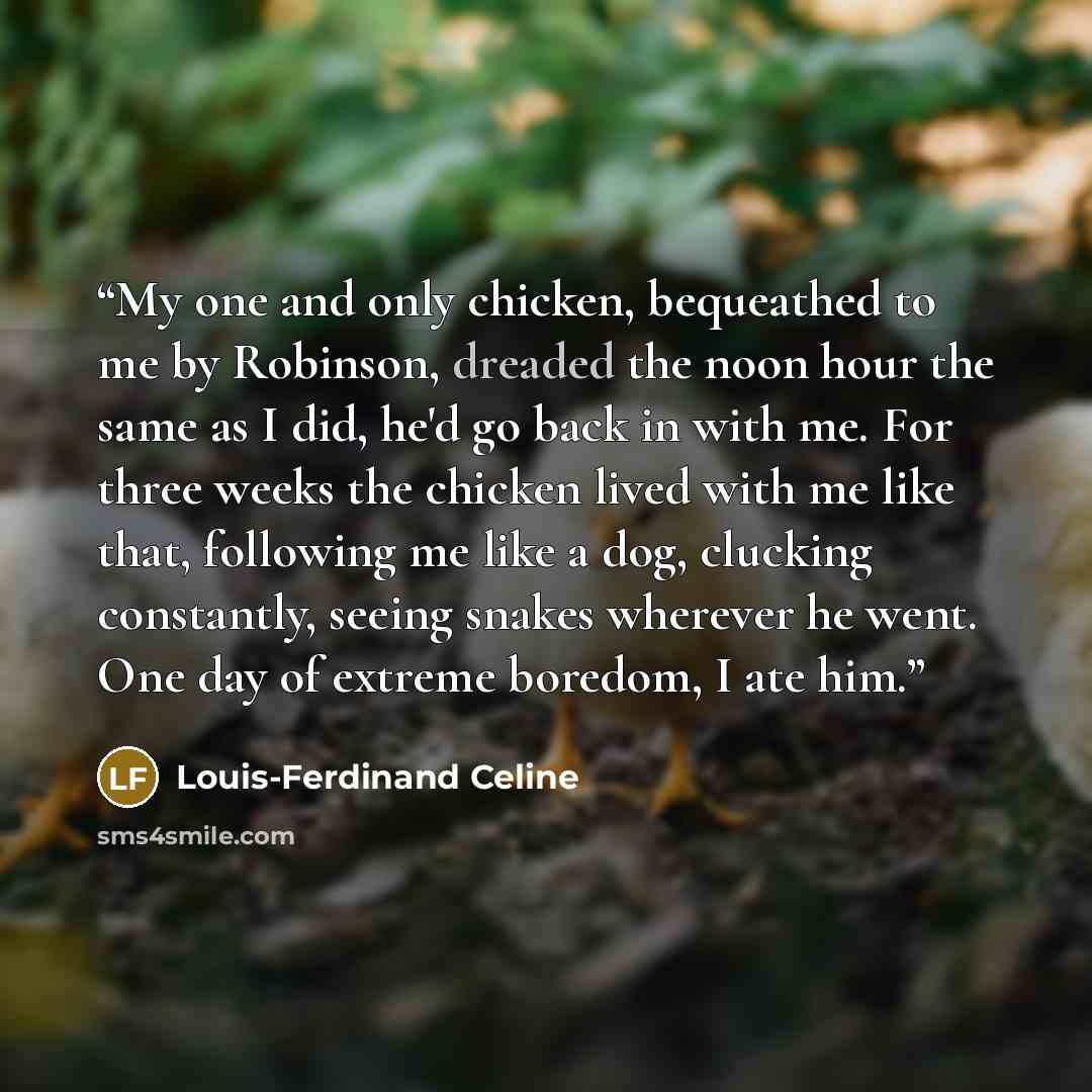 “My one and only chicken, bequeathed to me by Robinson, dreaded the noon hour the same as I did, he'd go back in with me. For three weeks the chicken lived with me like that, following me like a dog, clucking constantly, seeing snakes wherever he went. One day of extreme boredom, I ate him.” quote by Louis-Ferdinand Céline